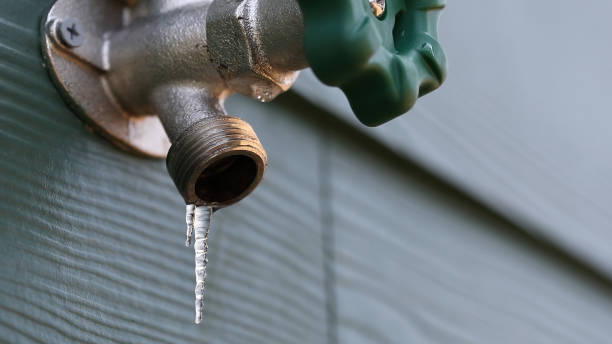 Best Emergency Plumbing Repair  in Dyersburg, TN
